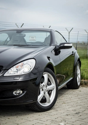 Mercedes-Benz SLK cena 59900 przebieg: 56400, rok produkcji 2006 z Krosno małe 529